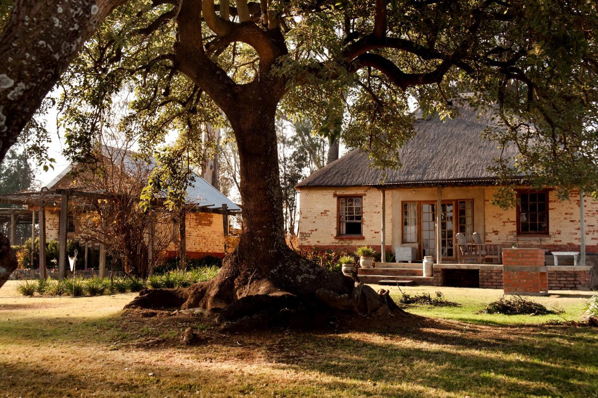 Dalmore Guest Farm Bergville Exterior foto